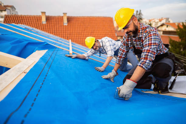 Best Residential Roof Replacement  in Riverton, WY